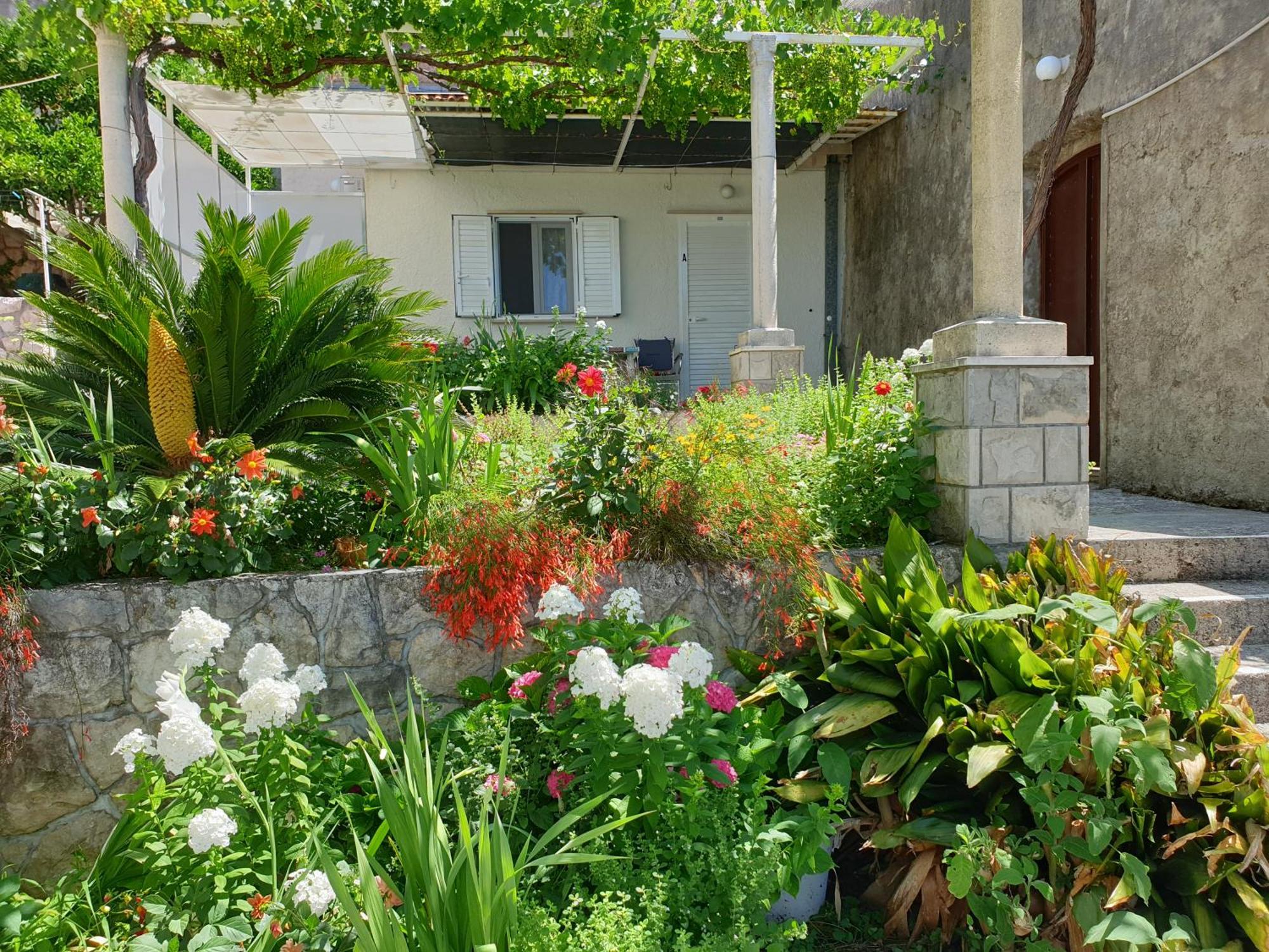 Apartments Bajo - Free Parking Dubrovnik Exterior photo